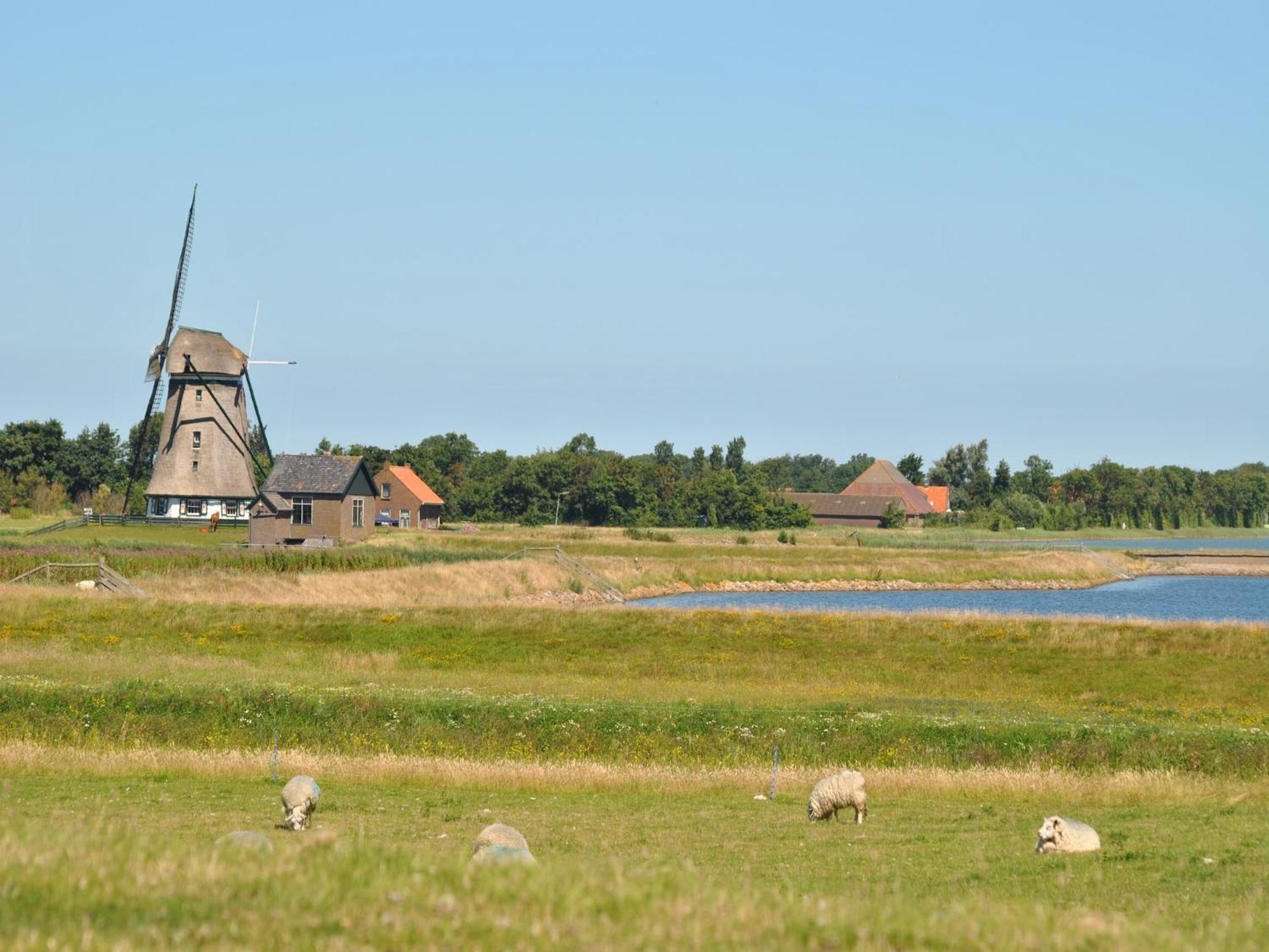 Charming Holiday Home In Texel Near Sea Oost  Buitenkant foto